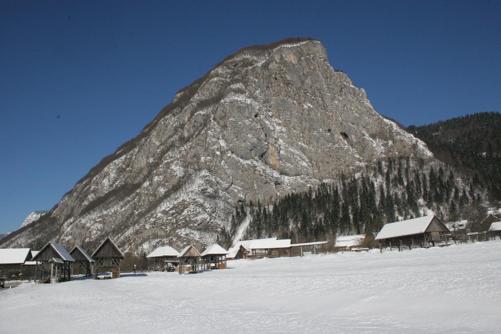 Apartments And Rooms Cerkovnik Bohinj Eksteriør billede