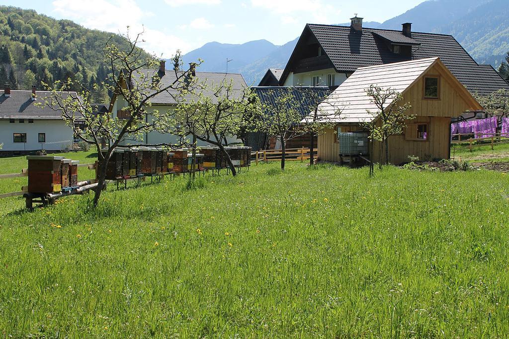 Apartments And Rooms Cerkovnik Bohinj Eksteriør billede